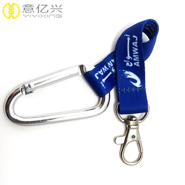 Mini Carabiner Keychain