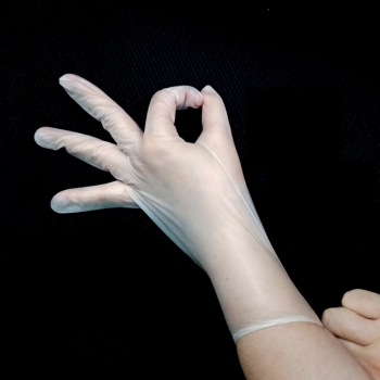 Clear Nitrile Gloves (2)