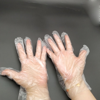 Disposable PE Gloves