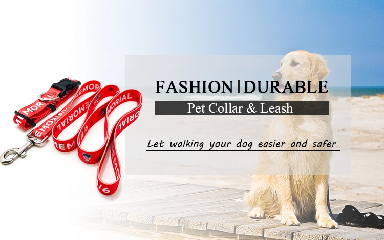 dog collars and leashes