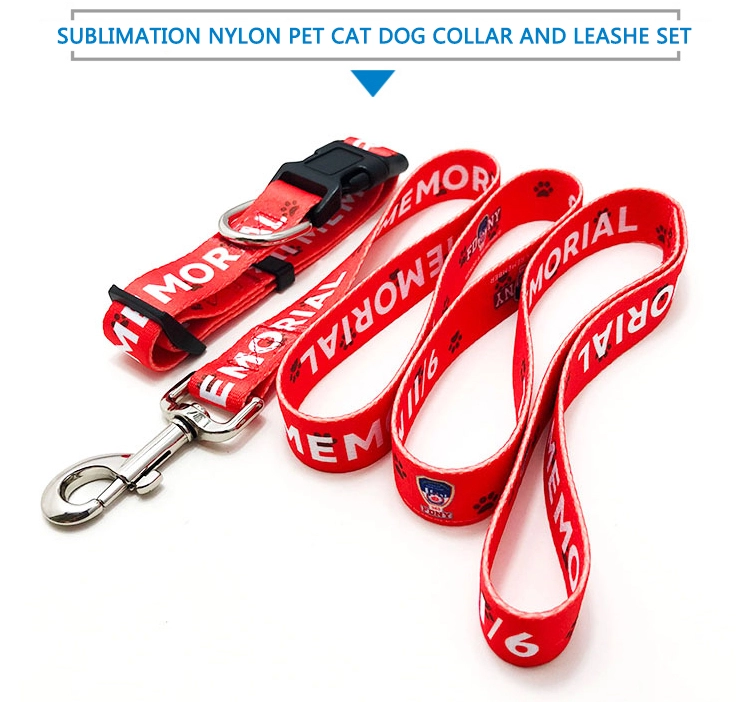 dog collars and leashes