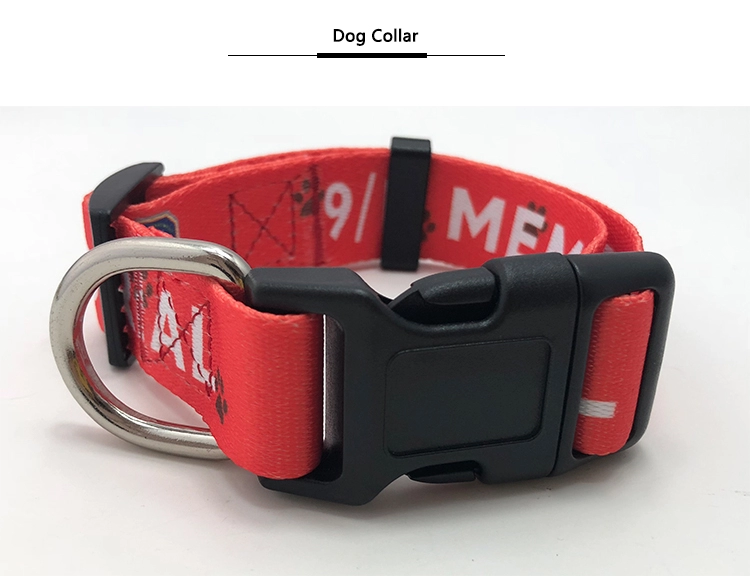 dog collars and leashes