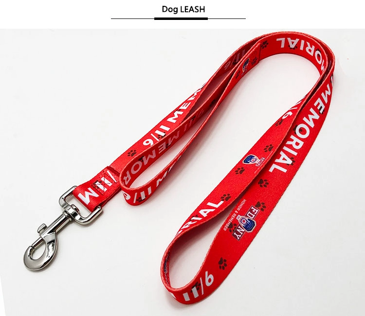dog collars and leashes
