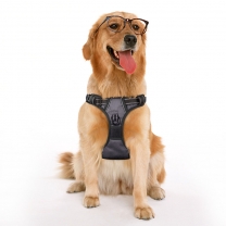 Outdoor pet vest without tension adjustable dog vest