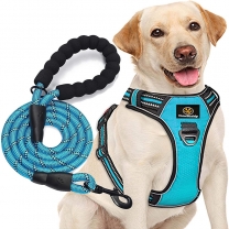 Pet Strong D-ring Mesh Padding No-pull Dog Harness with handle And Safety Buckle