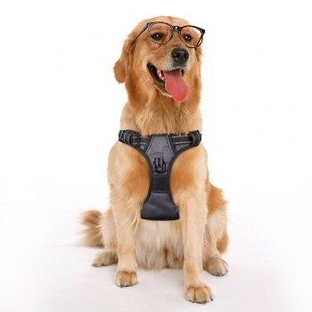 Outdoor pet vest without tension adjustable dog vest