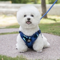 Customized full set of adjustable nylon collar dog harness