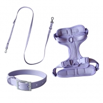 Pet Collarb Leash and Harness