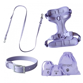 Pet Collarb Leash and Harness