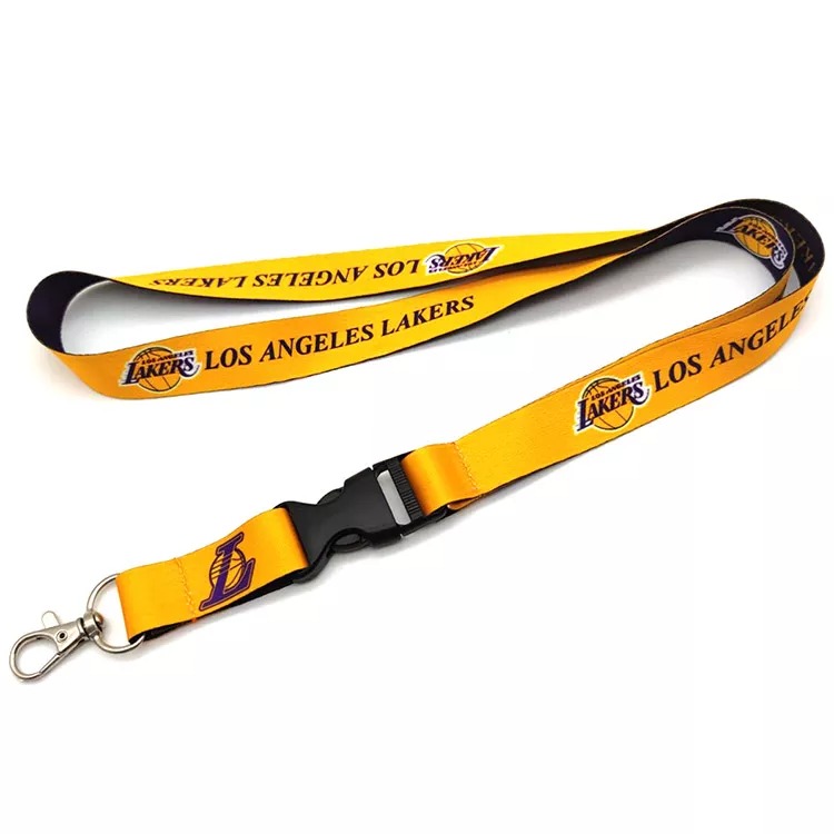 Introduction to Lanyard