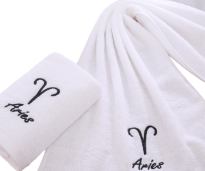 Hot Sell Towel 100% Cotton Embroidery Logo Face Sport Towel For Gym Bath